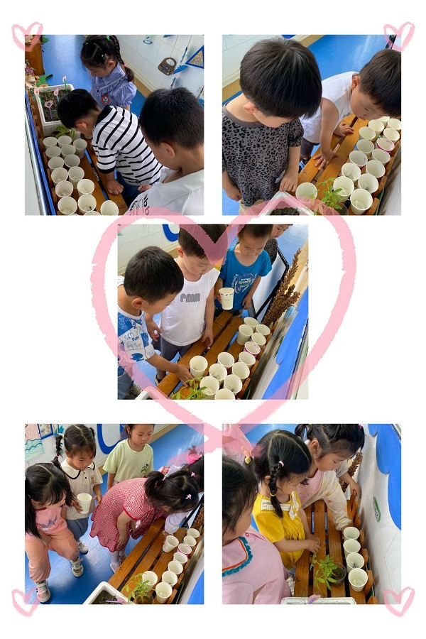 d375876ff2dd4060ab803a599e842e75.jpg