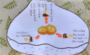 【班级活动】栗子大调查