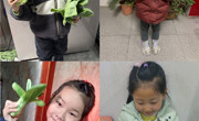 【班级活动】一园青菜来啦！