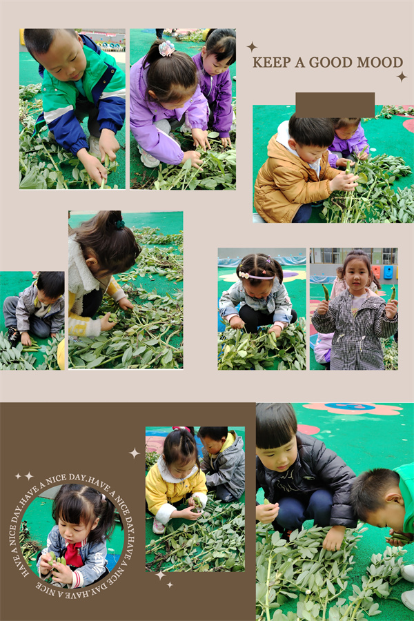 d9f105834abe403db7a8d030a71cc9cf.jpg