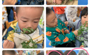 【七色花开】邂逅薄荷