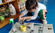 【观察记录】向阳生长，迎风绽放