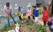 【行走教育】蔬菜小玩家的行走之旅
