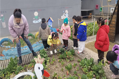 【行走教育】蔬菜小玩家的行走之旅