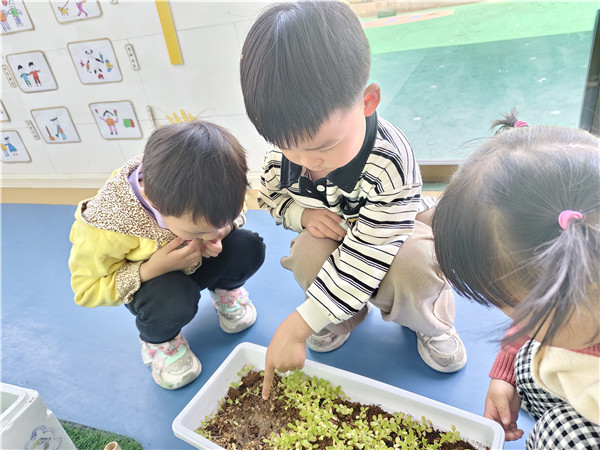 2f4cbd254abe432c90451fe8cfa529b8.jpg