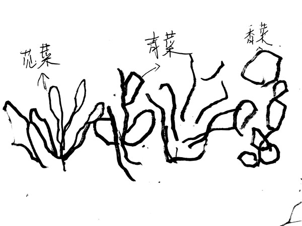a82ab49ad1e44cd2b129fcaeef4517a1.jpg