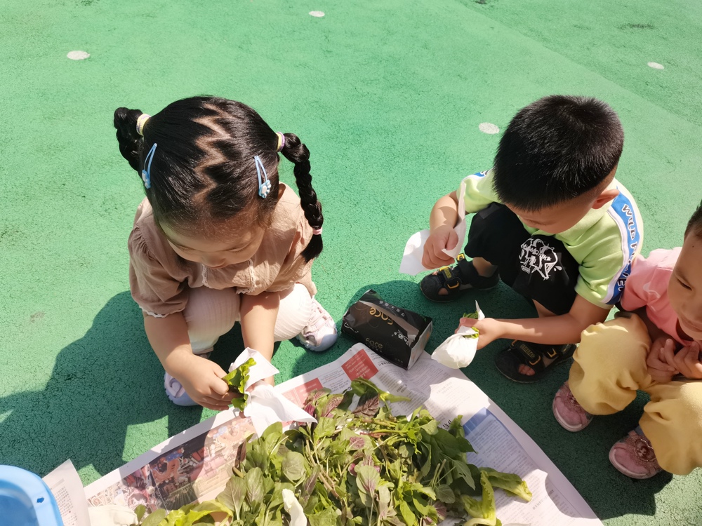 0acbf97a31334013a79ff2a458dee70d.jpg