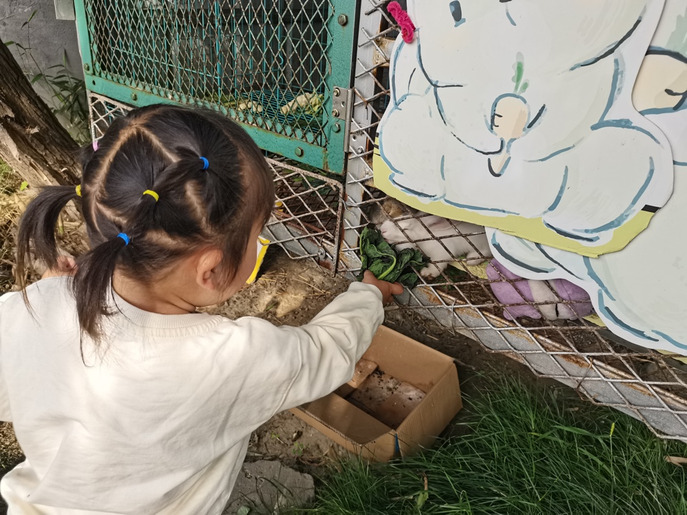 3c121bfc43e543ab986fa254650c2d7e.jpg