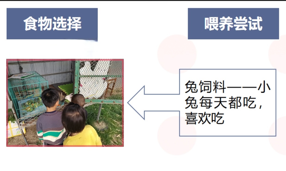 4d73abef4ac24839ac40943176bc0fd5.jpg