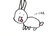 【行走教育】“兔”如其来的小确幸